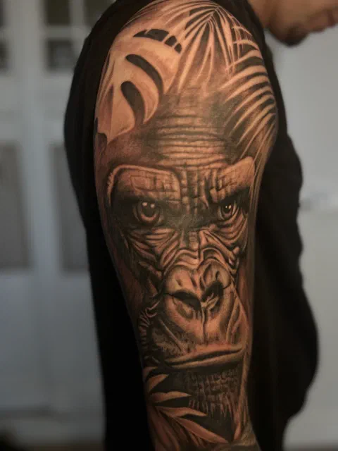 Gorilla portret – foto 1 van 2